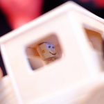 Camión molón - faros negros