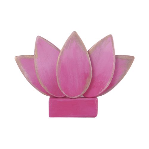 Imagen de Flor de Loto rosa en paloverso