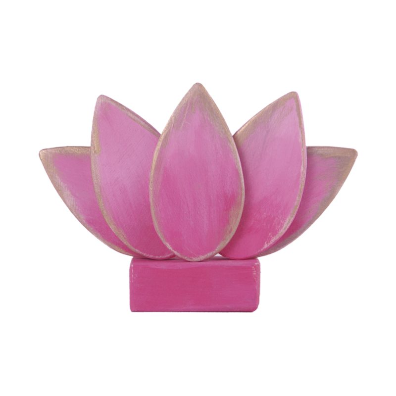 Imagen de Flor de Loto rosa en paloverso