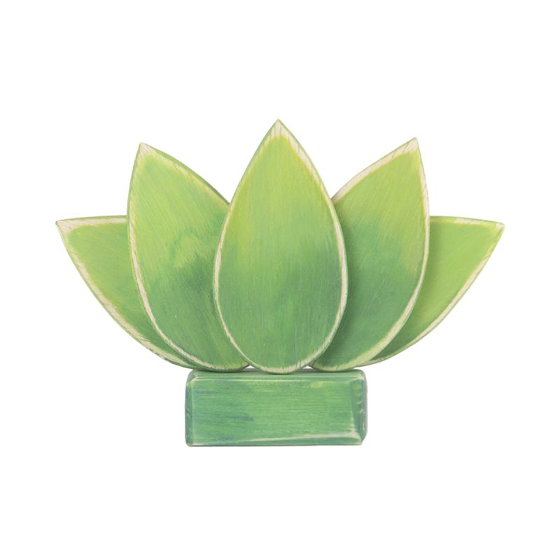 Flor de loto verde de 5 pétalos