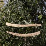 Si cuidas la naturaleza...