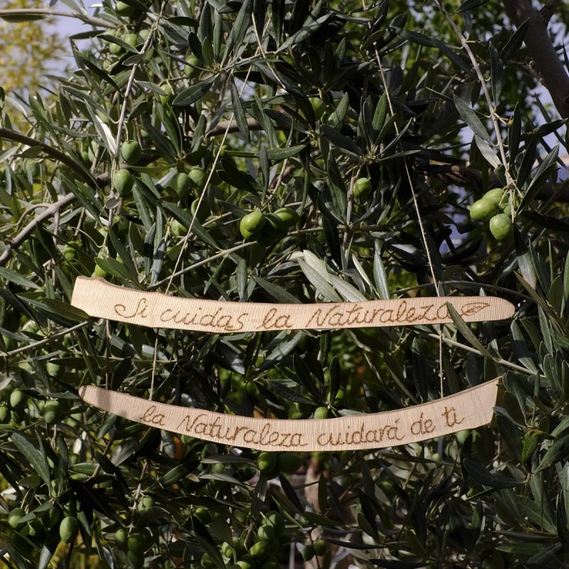 Si cuidas la naturaleza...